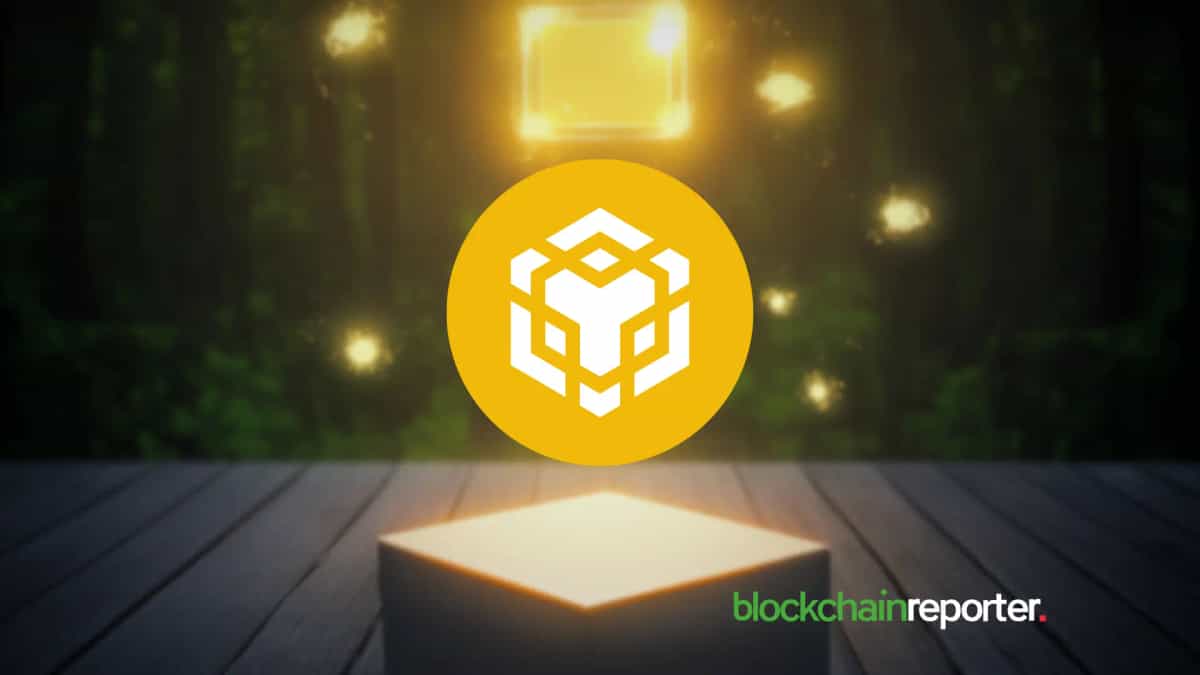 Comparing Market Value: BNB, Cardano, and the Crypto Presale Minting the Next Millionaires