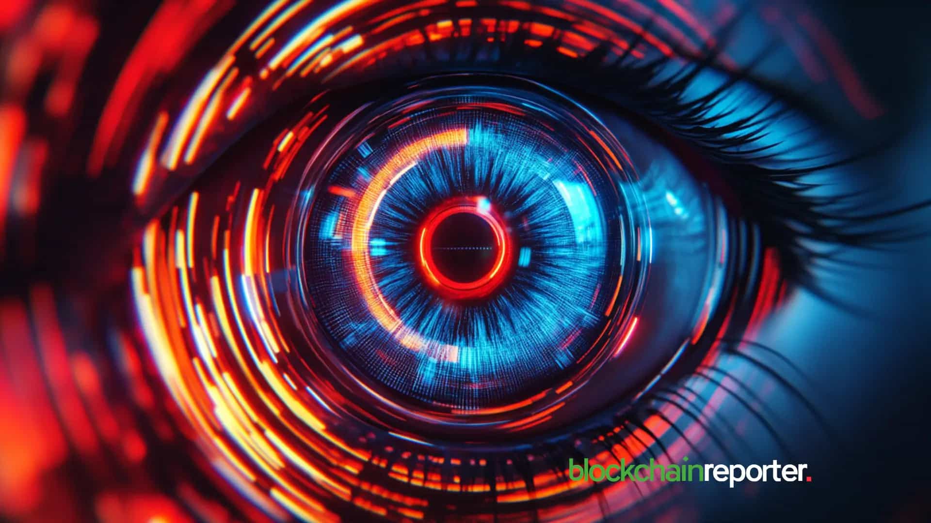 Top 10 NFT Performers by 24-Hour Sales Volume