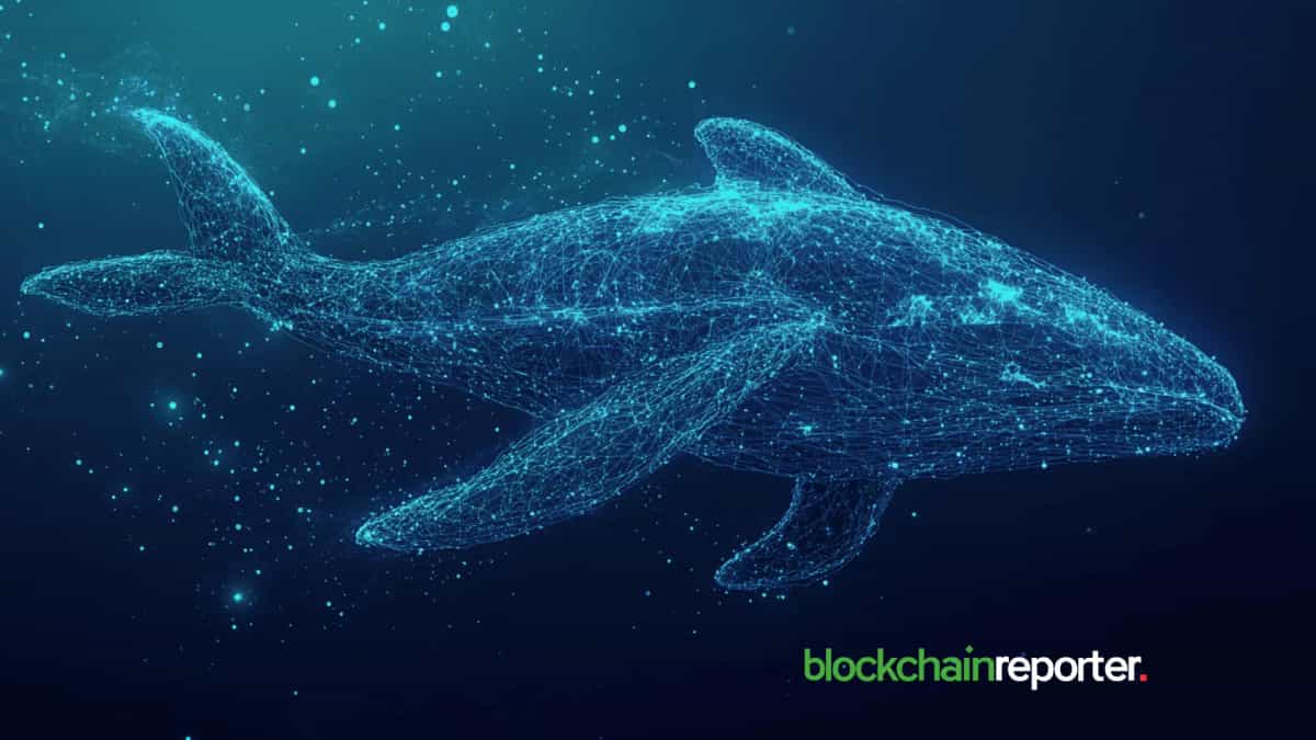 A Mysterious Whale Is Quietly Buying $币安人生 as the Market Slides — $20.33M Spent Since June 1