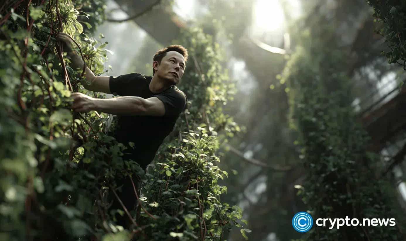 Musk Demands Wall Street Buy Grok AI Subscriptions to Work on SpaceX IPO