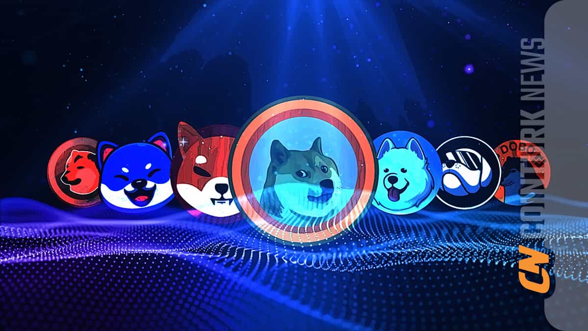 Investors Anticipate BONK Price Decline