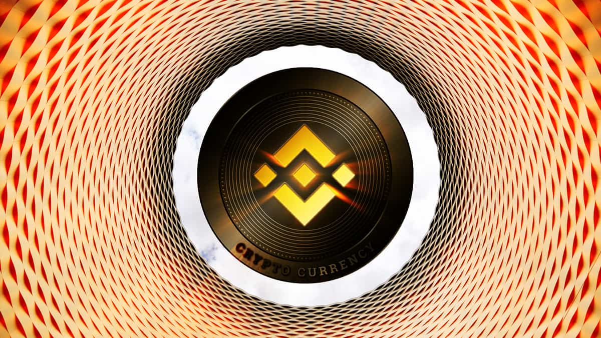 Binance Spurs a Twist as Doodles Token Value Dips
