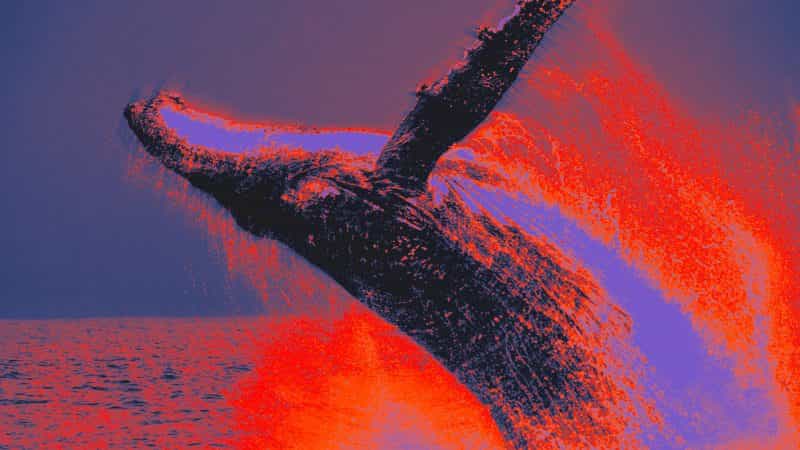 Bitcoin whale moves $383 million in BTC after 8 years of dormancy: onchain data