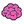IQ icon