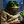 Kekius Maximus (kekiusmaximus.vip) icon