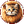 Lion Cat icon