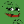 Pepe icon