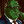 VaderAI by Virtuals icon