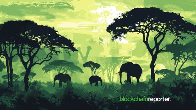Alchemy Pay Enters South Africa, Offers Support for ZAR On-Ramps via Bank Transfers