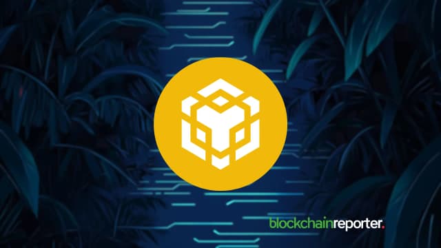 Nano Labs Signs $500M Deal to Launch $BNB Strategic Reserve