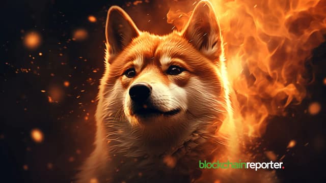 Shiba Inu Price Prediction: SHIB Price Could Plummet 50% In 2026 As Meme Coin Season Ends
