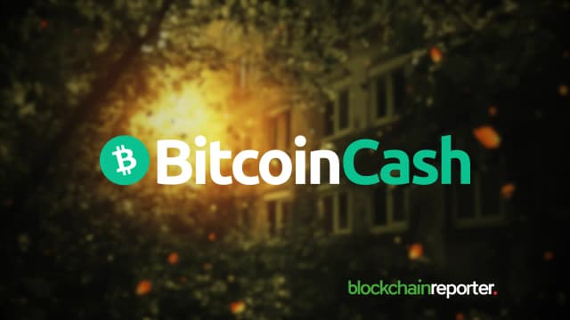 Best Crypto to Buy Now: Bitcoin Cash Gains Momentum While AlphaPepe Steals Meme Spotlight