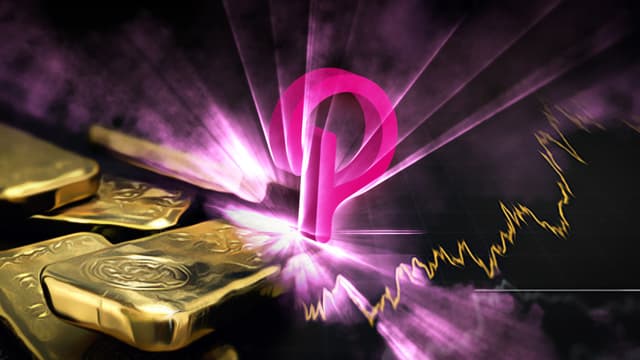 Polkadot Community Proposes Ambitious Crypto Asset Strategy