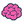 IQ icon