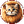 Lion Cat icon