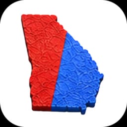 Georgia US Senate Winner