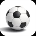 Champions League Winner