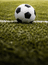 Reg Time: More than 0.5 goals scored