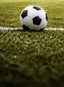 Reg Time: More than 0.5 goals scored