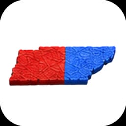 Tennessee US Senate Winner