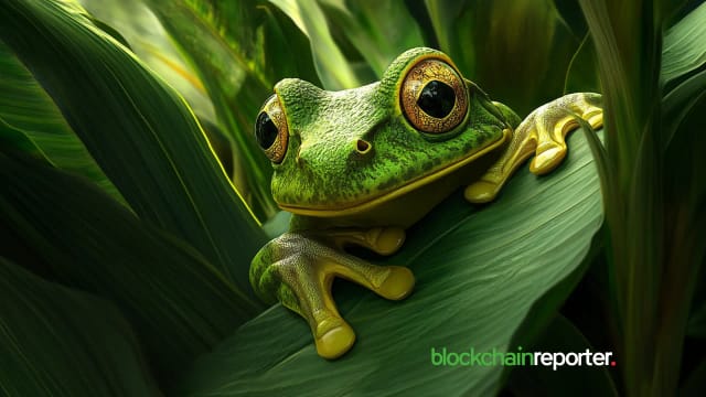 FROGE Launch Set For November 18th: The Best Crypto To Buy Now For 100x Gains?
