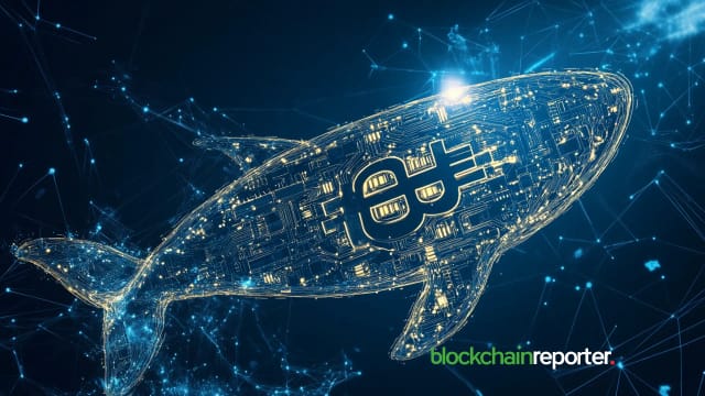 Bitcoin News: DeepSnitch AI Favored by Whales for 100x Gains, ETH and ZEC Recover