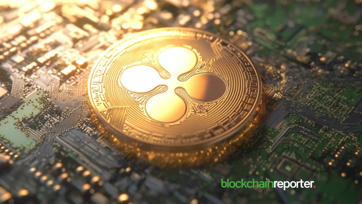 Louisville Athletics Signs Ripple Deal to Put XRP Logo on Denny Crum Court