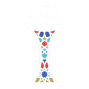 AFCON 2027 Winner