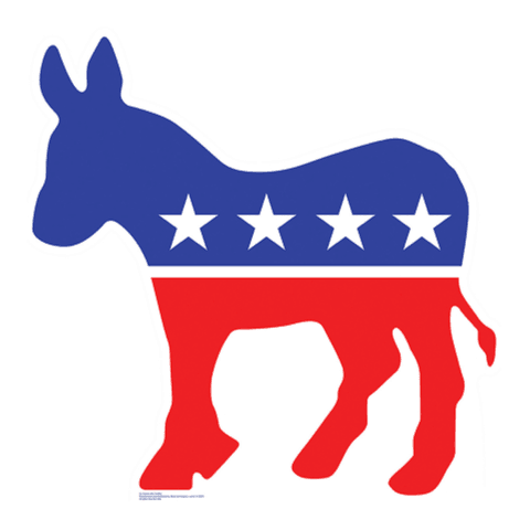 Democratic Presidential Nominee 2028