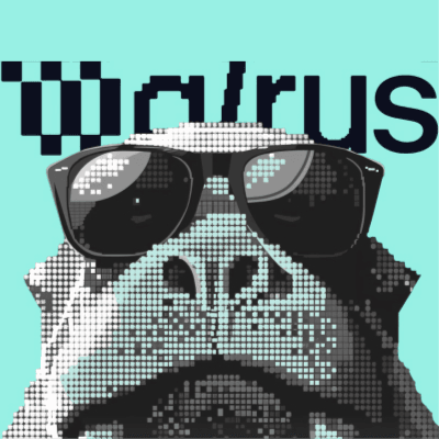 Encoded Storage Volume on Walrus at mid December