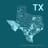 Texas Governor race