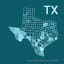 Texas Governor race