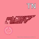 Which party will win the 2026 US Senate election in Tennessee?