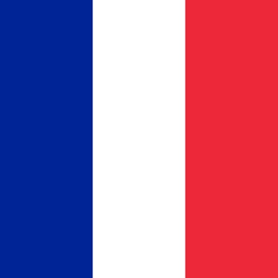 Who will win the next French presidential election?
