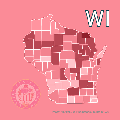 What will be the margin in the 2026 Wisconsin Democratic gubernatorial primary?