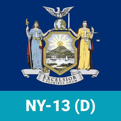Who will win the Democratic nomination in the NY-13 House primary?