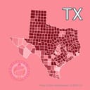 Which party will win the 2026 US Senate election in Texas?