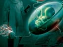 Will Artificial wombs for premature babies be tested in humans by the end of 2026?