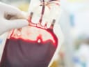 Will Artificial blood be considered safe and effective for patients in Japan by the end of 2026?