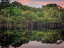 Brazil to reduce illegal deforestation by at least 50% by 2026?