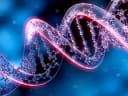 Will the US, UK or EU approve a gene editing therapy for a new condition during 2026?