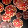 What will the average number of measles cases be during Trump's term?