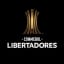 Fluminense