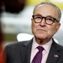Will a Democratic Senator call for Schumer to step down as leader?
