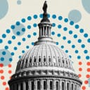 How many House seats will Democrats win in the Midterms?