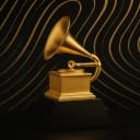 Grammy Winner: Best New Artist
