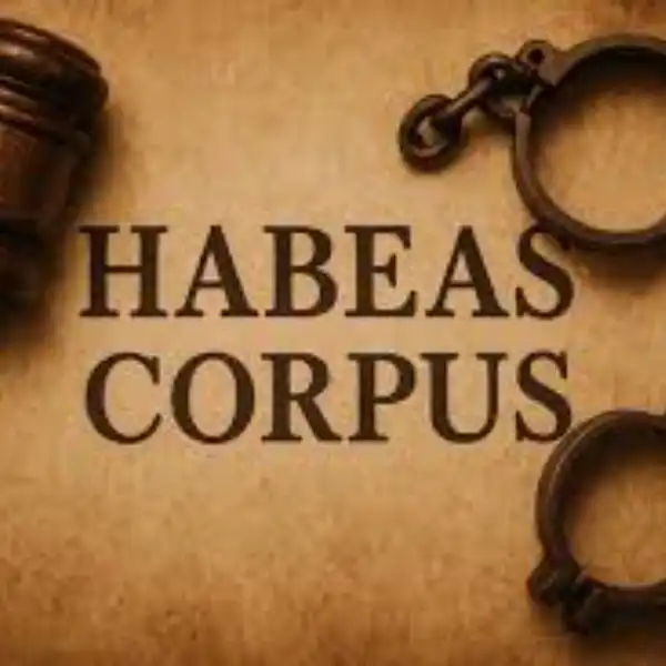 Will Trump suspend habeas corpus?