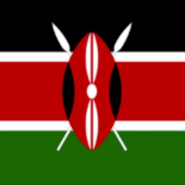 Who will win the next Kenyan National Assembly election?