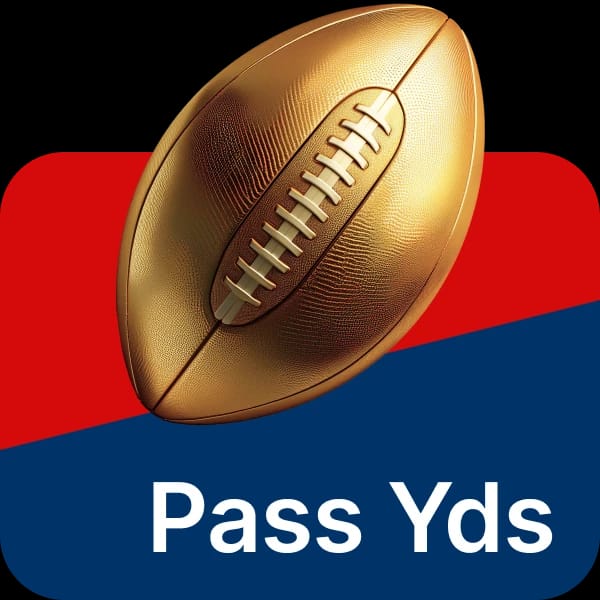 Pro Football Passing Yards Leader