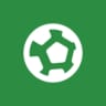 Liga MX Apertura Champion